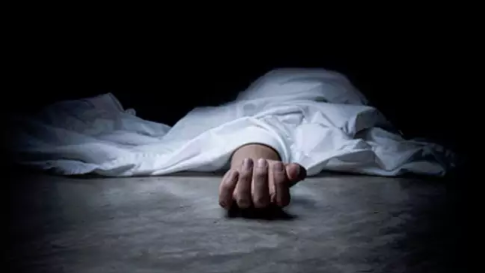 screenshot 2025 11 14 132738