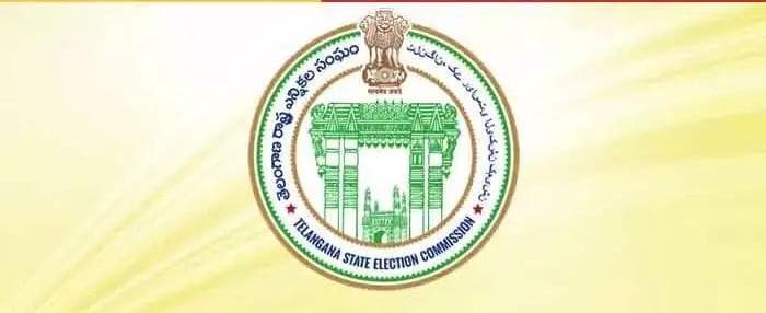 whatsapp image 2025 11 19 at 9.14.21 pm