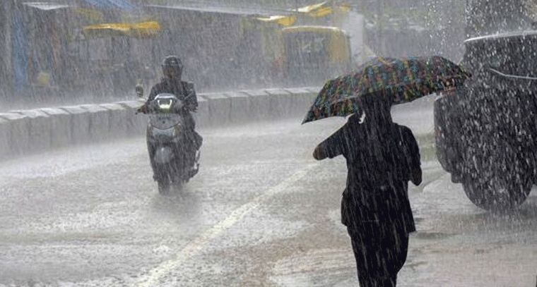 whatsapp image 2025 11 28 at 12.35.18 pm