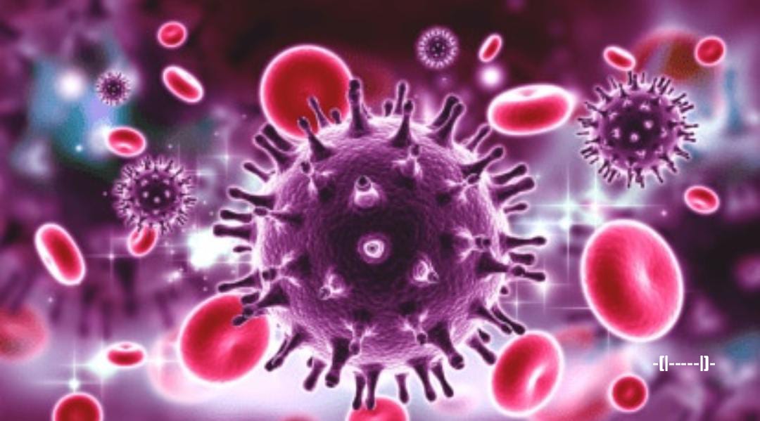 whatsapp image 2025 12 02 at 8.14.09 pm