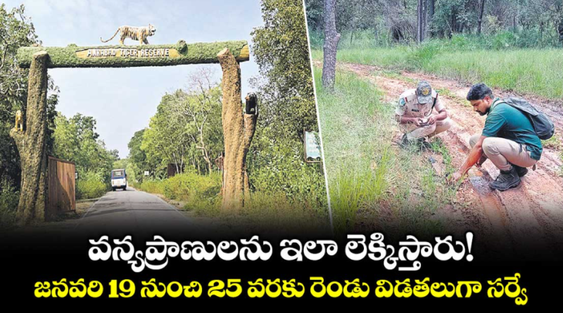 screenshot 2026 01 13 115027