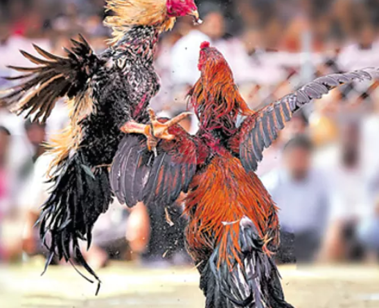 screenshot 2026 01 14 115148