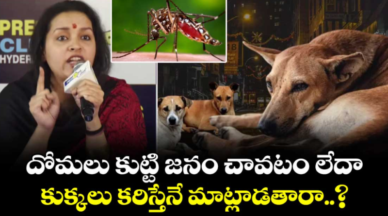 screenshot 2026 01 19 221006