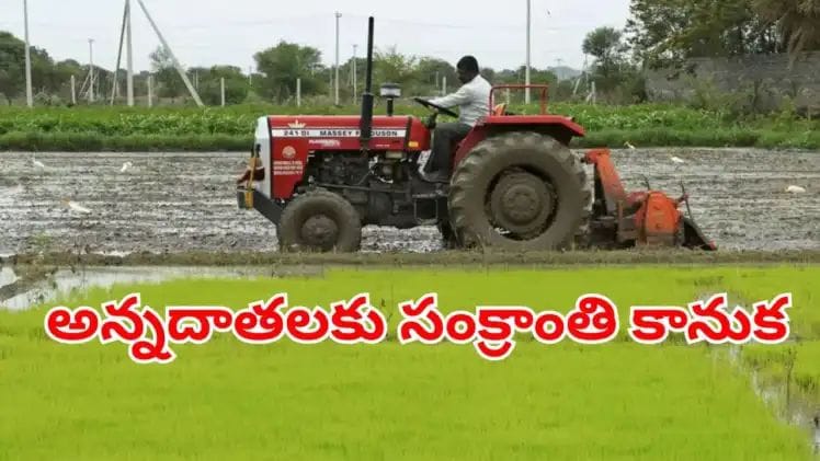 whatsapp image 2026 01 10 at 11.18.33 am