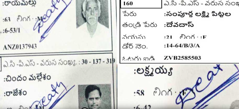 screenshot 2026 02 13 113610