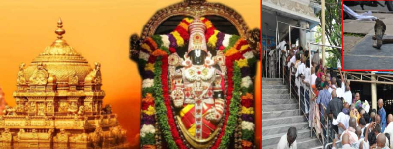 screenshot 2026 02 23 120014