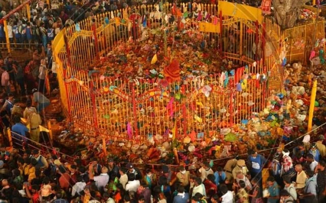 whatsapp image 2026 02 12 at 1.18.21 pm